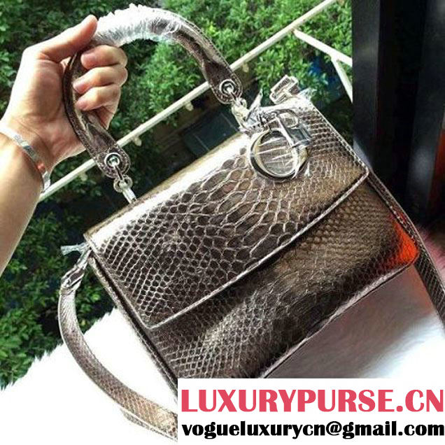 Dior Small Be Dior Bag in Original Python Leather Silver-Grey (XXG-112339 )