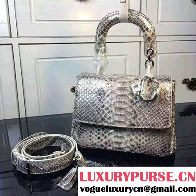 Dior Mini Be Dior Flap Bag In Python Leather Grey (2B009-122508 )