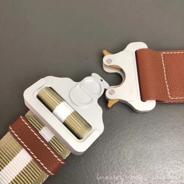 Dior Grained Calfskin Saddle Shoulder Belt Bag Brown 2019