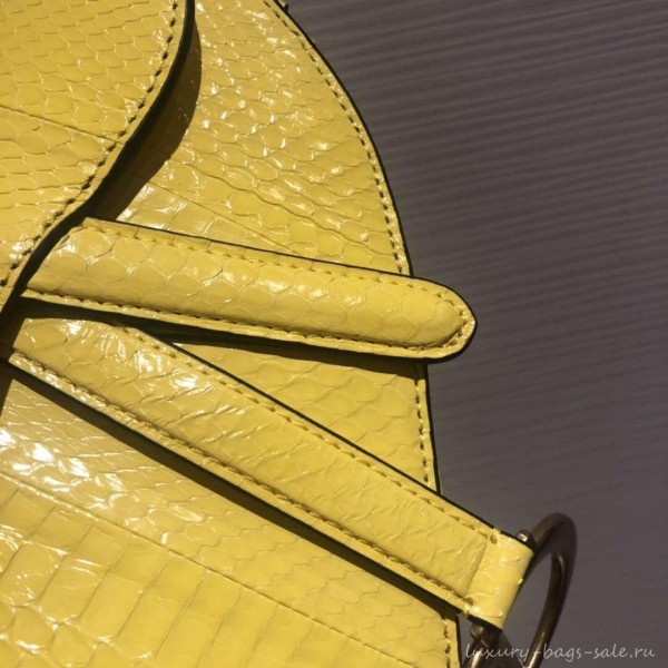 Dior Python Mini Saddle Bag Yellow 2019
