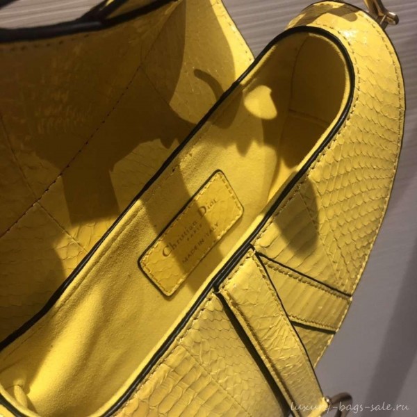 Dior Python Mini Saddle Bag Yellow 2019