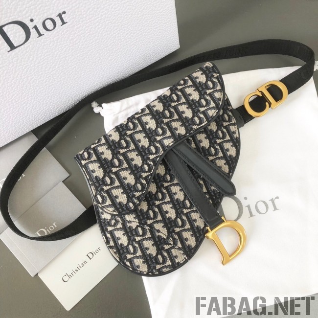 Dior CD Oblique Canvas Saddle Belt Bag Blue 2019 (WEIP-9031614 )