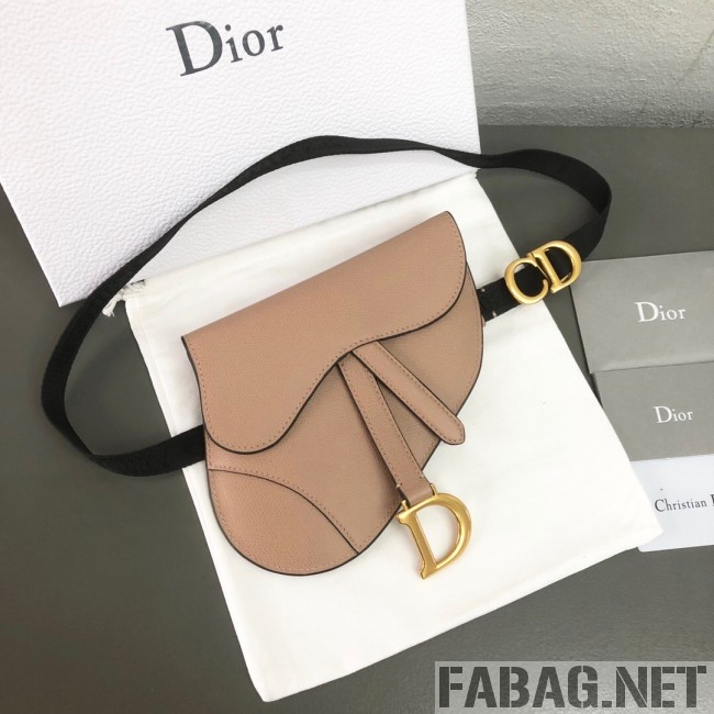 Dior CD Saddle Belt Bag Pink 2019 (WEIP-9031608 )