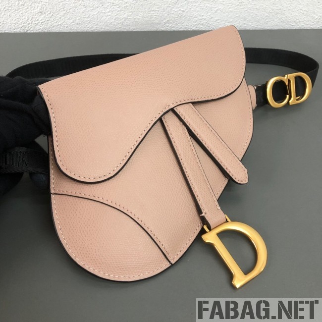 Dior CD Saddle Belt Bag Pink 2019 (WEIP-9031608 )