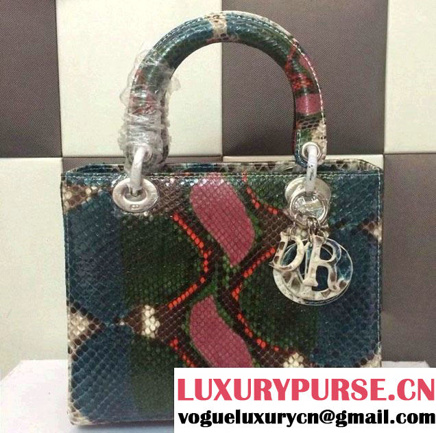 Lady Dior Small Multicolor Python Bag - Spring 2014