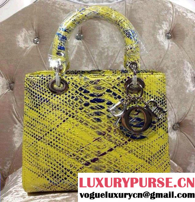 Lady Dior Medium Python Tote Bag 2014