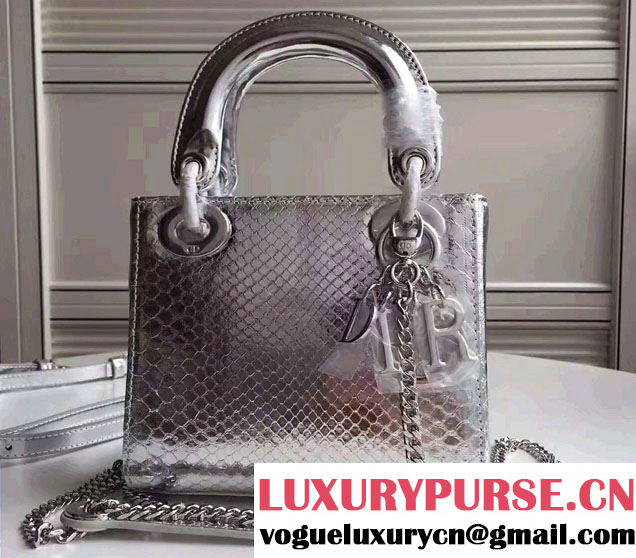 Lady Dior Python Small/Mini Bag with Double Chain Strap Silver 2017