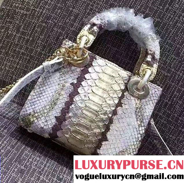 Lady Dior Python Small/Mini Bag with Double Chain Strap Sliver/Gold 2017