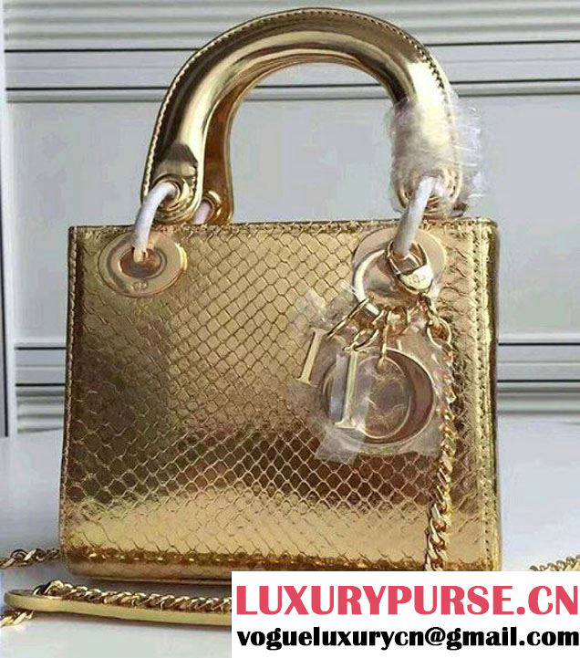 Lady Dior Python Small/Mini Bag with Double Chain Strap Gold 2017