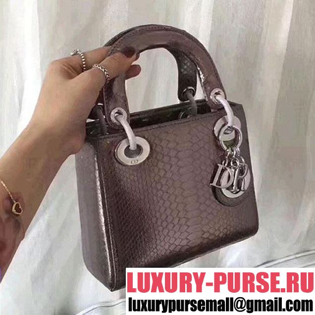 Christian Dior Lady Dior Bag with Python Skin 17cm Silver Hardware Lambskin Leather Cruise 2017 Collection Metallic Pewter