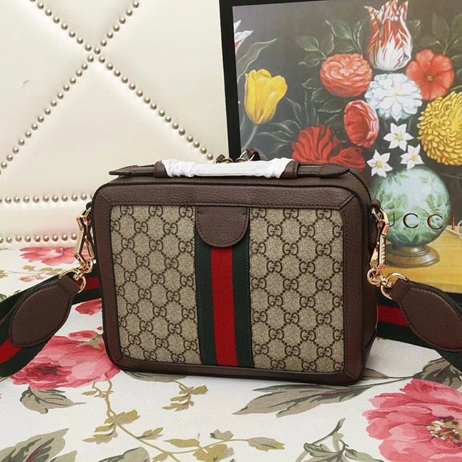 Gucci Ophidia Small GG Shoulder Bag 550622 Brown