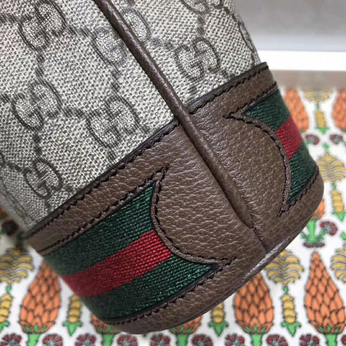 Gucci Ophidia GG Mini Bucket Bag 550620 Brown
