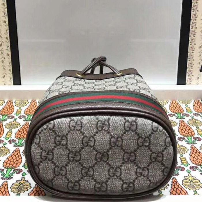 Gucci Ophidia GG Mini Bucket Bag 550620 Brown
