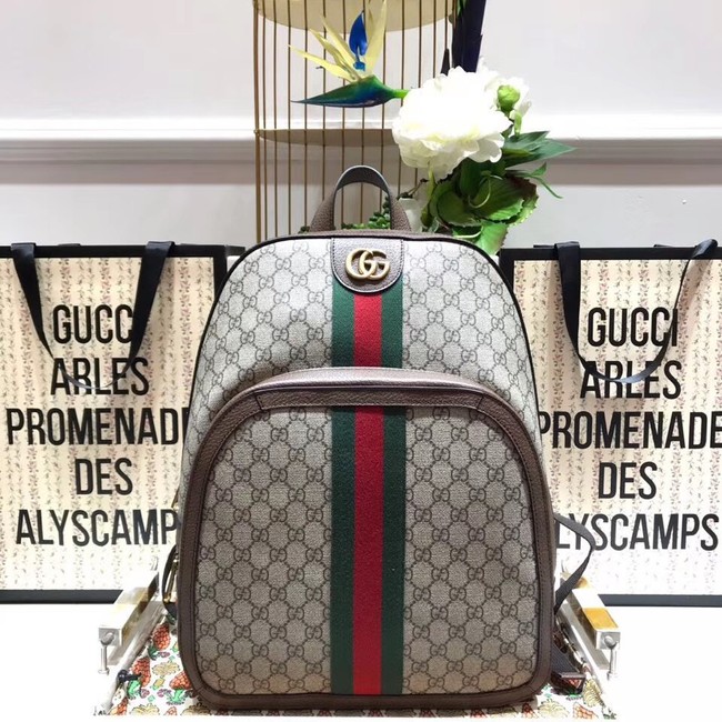 Gucci Ophidia GG medium backpack 547967 