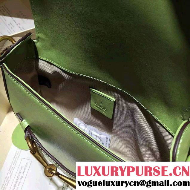 Gucci Lady Web Hand-stained Leather Shoulder Small Bag 380573 Light Green 2015