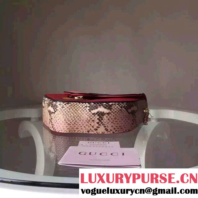 Gucci Cat Mask Plexiglass Clutch Bag 408532 Pink 2016