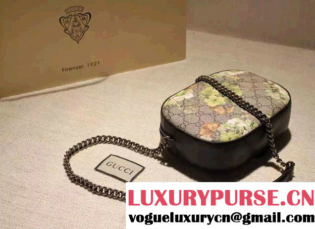 Gucci GG Blooms Mini Chain Shoulder Camera Bag 409535 2016