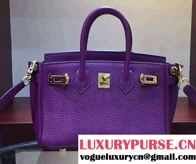 Hermes Togo Leather Birkin 20cm Mini Bag Purple 2016