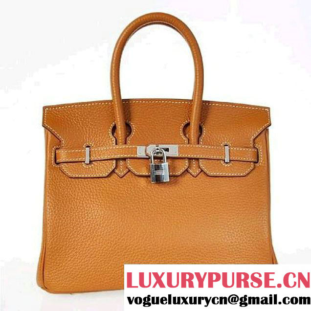 Hermes Birkin 25CM Tote Bags Togo Leather Camel Silver