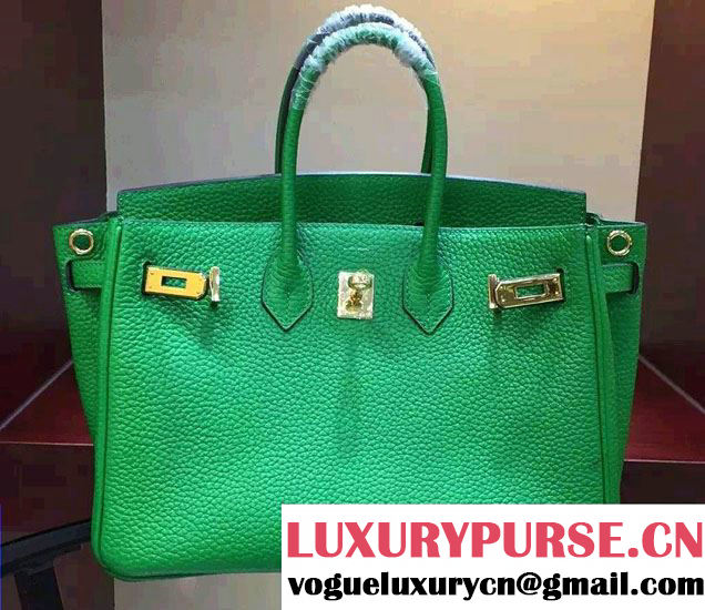 Hermes Togo Leather Birkin 25cm Small Bag Green 2016