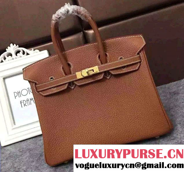 Hermes Mini Birkin 25cm Bag in Original Togo Leather Bag Khaki