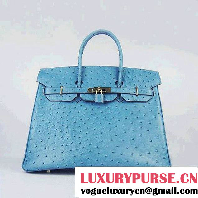 Hermes Birkin 35cm Pearl Veins Leather Bag Blue 6089 Silver Hardware