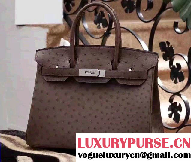 Hermes Ostrich Birkin 30/35cm Bag Dark Coffee