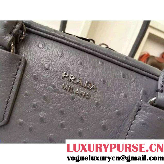 Prada 1BB011 Small Inside Calf Leather Ostrich Pattern Bag Cloudy Gray+Olive Green 2015 (2A016-091524 )