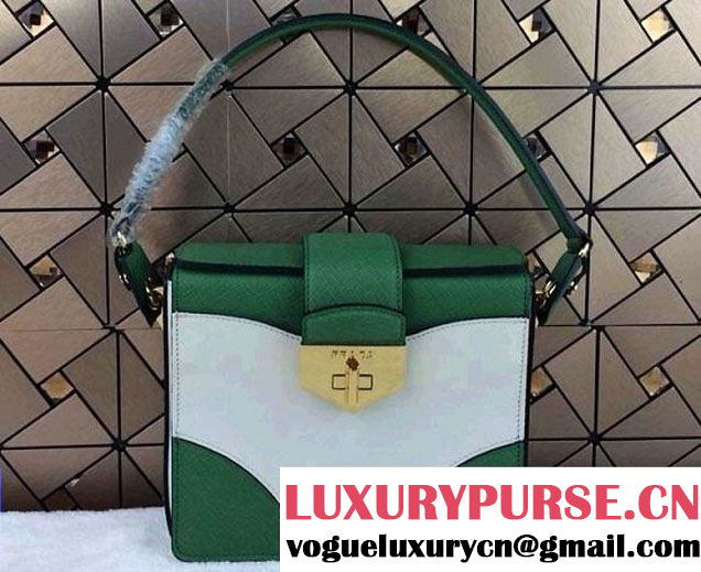 Prada Multicolor Saffiano Leather Shouder Bag in Green 2014