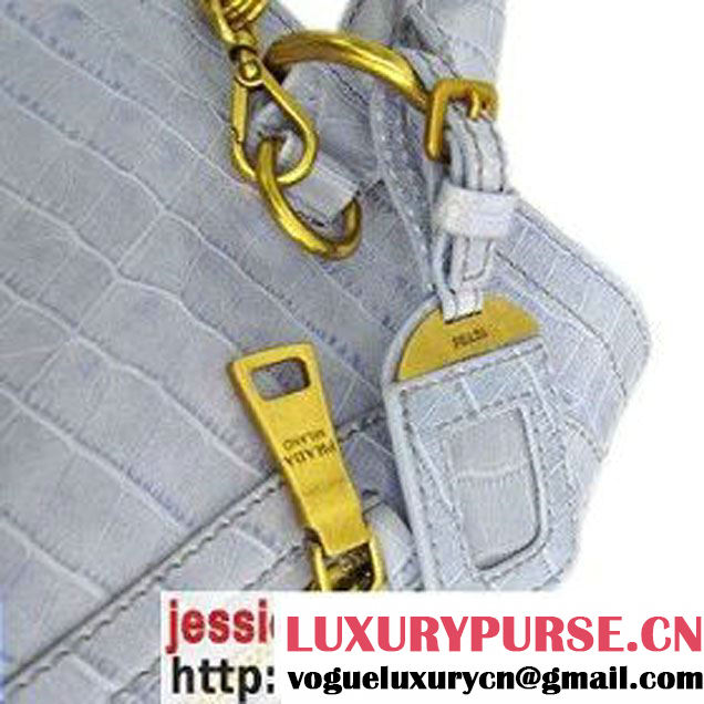 Prada Croco Veins Leather Tote Bag BR4145 Shallow Gray  