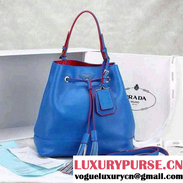 Prada Bucket Bag All-Leather in Blue 2014