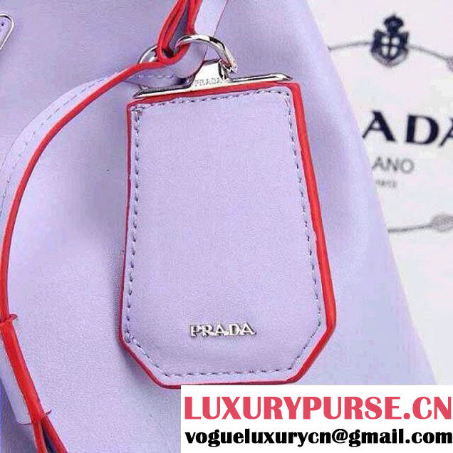 Prada Bucket Bag All-Leather in Lavender 2014