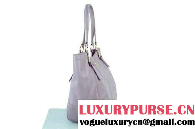 Prada Bright Leather Shoulder Bag BR4691 Purple  