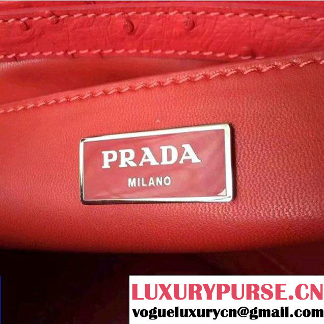 Prada 1BA863 Ponyhair Leather Tote With Ostrich Leather  (2A016-103102 )