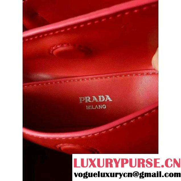 Prada 1BG756 Ponyhair Leather Double Bag With Ostrich Leather  F/W 2015 (2A016-103101 )