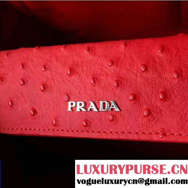 Prada 1BG756 Ponyhair Leather Double Bag With Ostrich Leather  F/W 2015 (2A016-103101 )