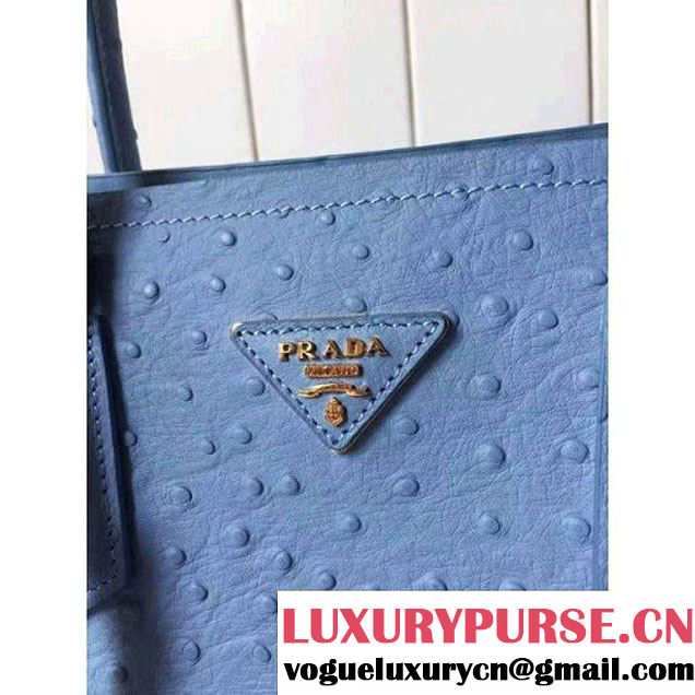 Prada Calfskin Ostrich Pattern Double Bag Sky Blue 2016 (2A016-6060301 )
