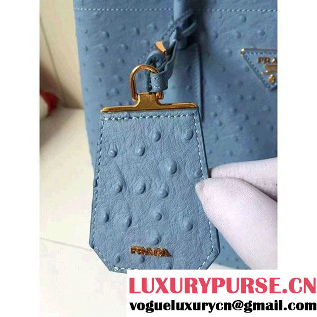 Prada Calfskin Ostrich Pattern Double Bag Sky Blue 2016 (2A016-6060301 )