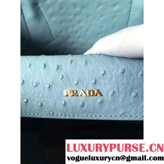 Prada Calfskin Ostrich Pattern Double Bag Sky Blue 2016 (2A016-6060301 )