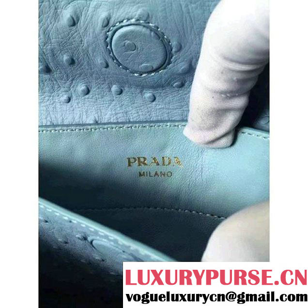 Prada Calfskin Ostrich Pattern Double Bag Sky Blue 2016 (2A016-6060301 )