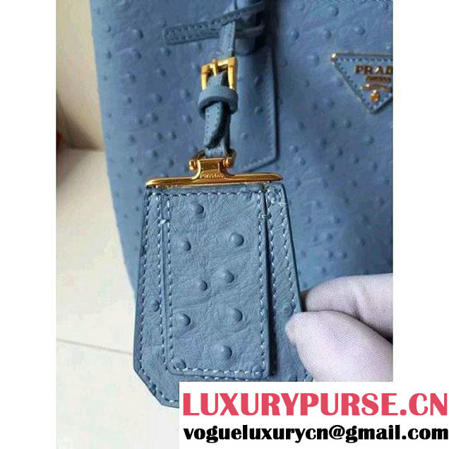 Prada Calfskin Ostrich Pattern Double Bag Sky Blue 2016 (2A016-6060301 )