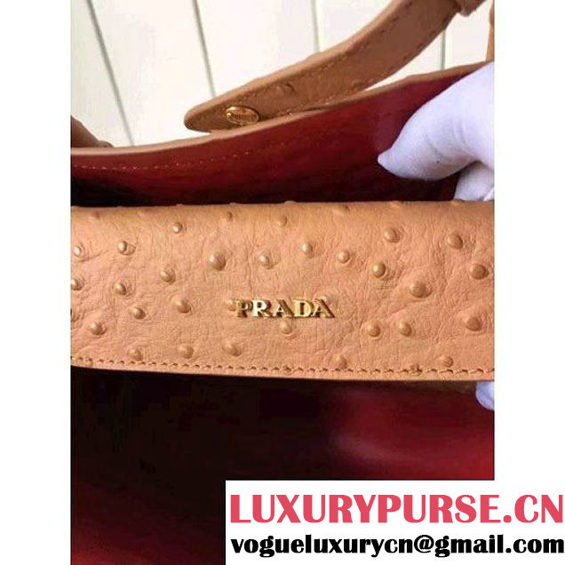 Prada Calfskin Ostrich Pattern Double Bag Camel 2016 (2A016-6060302 )