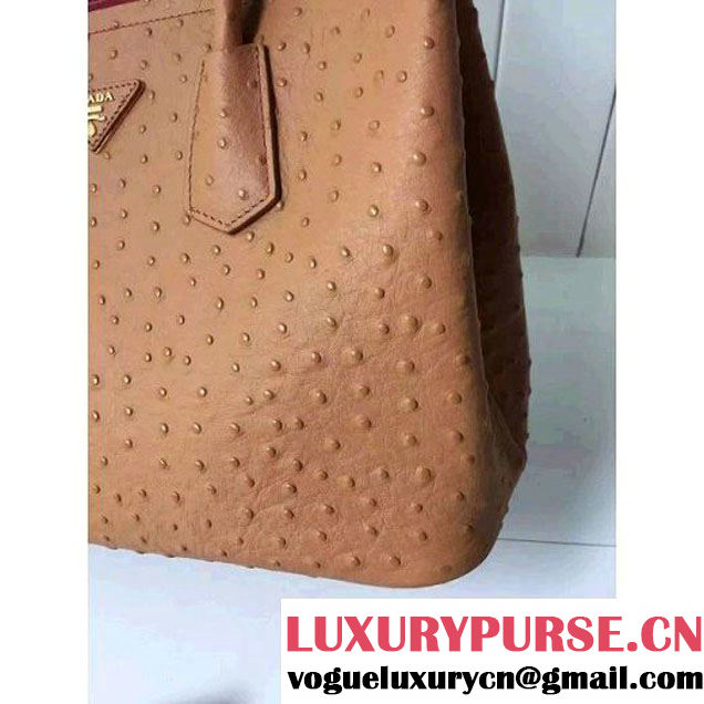 Prada Calfskin Ostrich Pattern Double Bag Camel 2016 (2A016-6060302 )