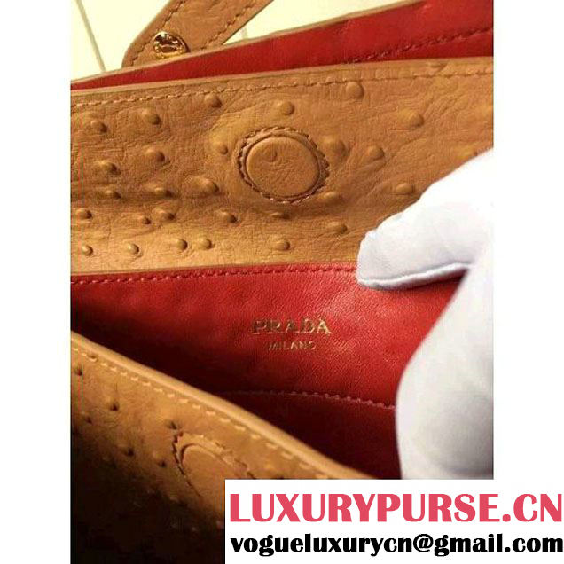 Prada Calfskin Ostrich Pattern Double Bag Camel 2016 (2A016-6060302 )