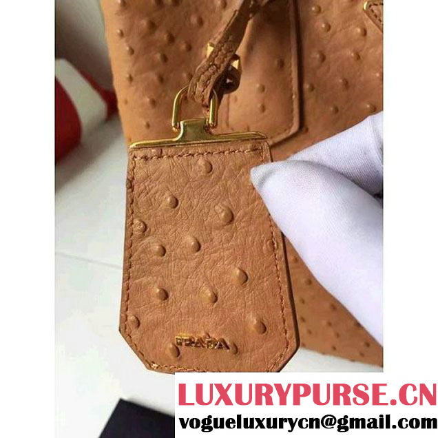 Prada Calfskin Ostrich Pattern Double Bag Camel 2016 (2A016-6060302 )