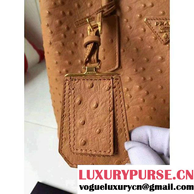 Prada Calfskin Ostrich Pattern Double Bag Camel 2016 (2A016-6060302 )