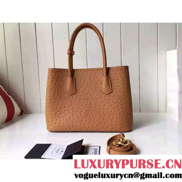 Prada Calfskin Ostrich Pattern Double Bag Camel 2016 (2A016-6060302 )