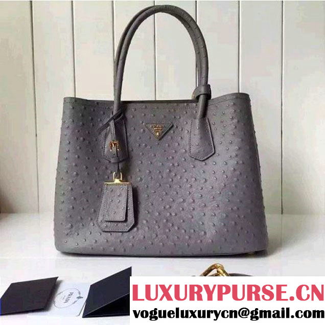 Prada Calfskin Ostrich Pattern Double Bag Etoupe 2016 (2A016-6060303 )