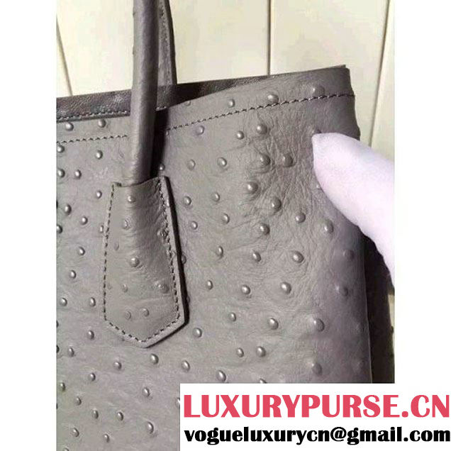 Prada Calfskin Ostrich Pattern Double Bag Etoupe 2016 (2A016-6060303 )