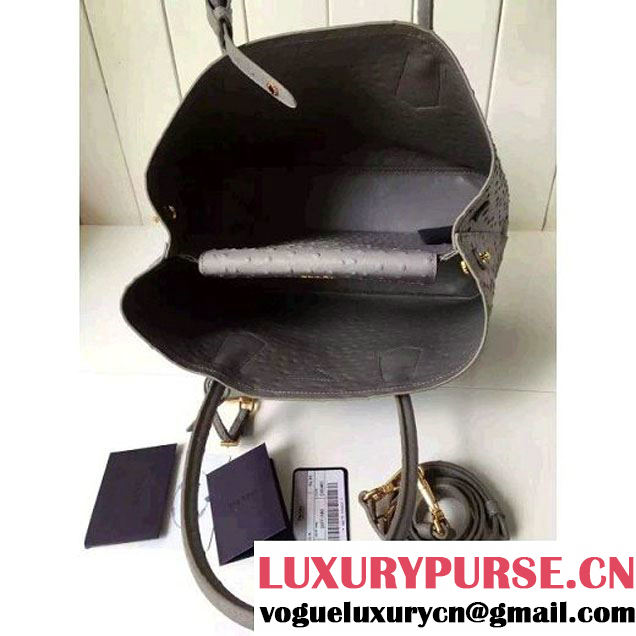 Prada Calfskin Ostrich Pattern Double Bag Etoupe 2016 (2A016-6060303 )
